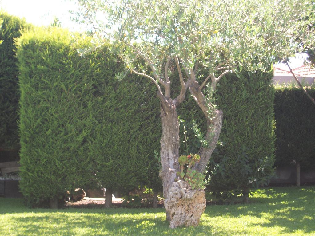 Etma Bed and Breakfast SantʼAlfio Eksteriør billede